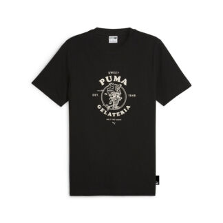 Мужская футболка PUMA GRAPHICS PUMA GELATERIA Tee