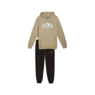 Мужской костюм PUMA QUAD Hooded Suit
