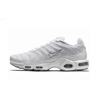 Мужские кроссовки Nike AIR MAX PLUS